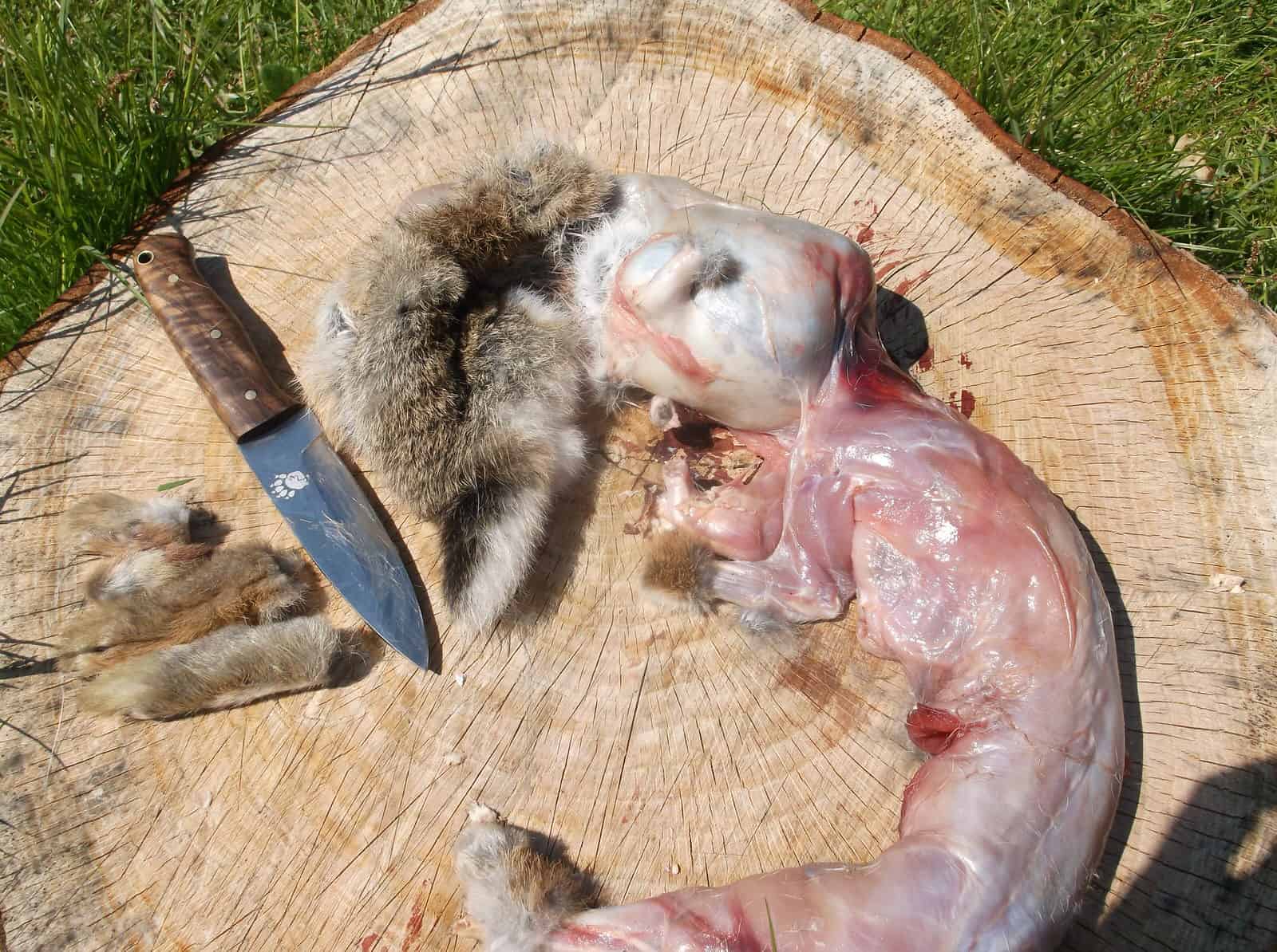 How To Skin And Butcher A Rabbit Dorset Bushcraft Courses for The Incredible as well as Beautiful how to skin a rabbit pertaining to Really encourage