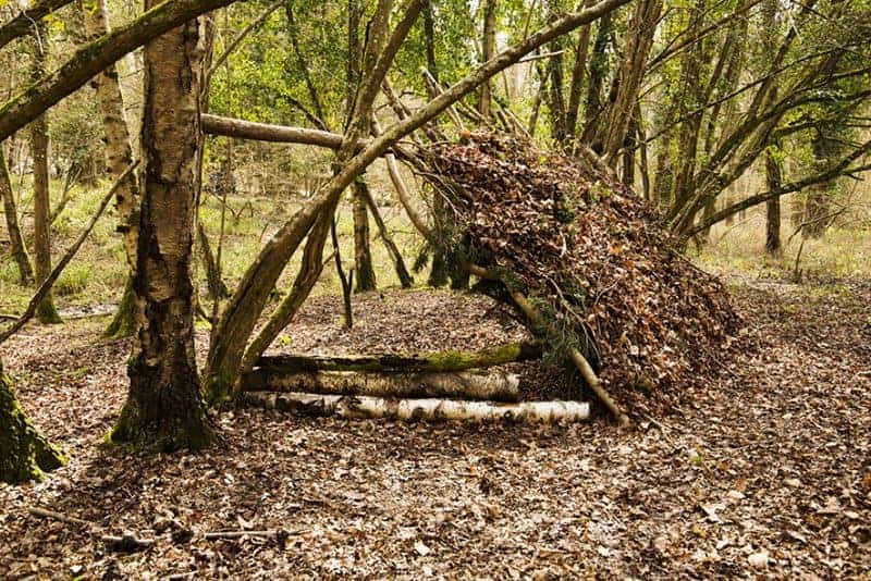 Learn shelter building with Wildway Bushcraft 