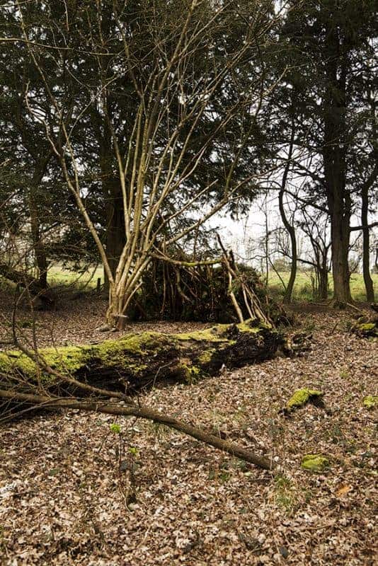 Shelter building from Wildway Bushcraft