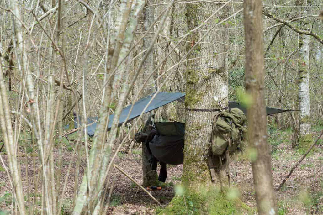 Bushcraft in dorset