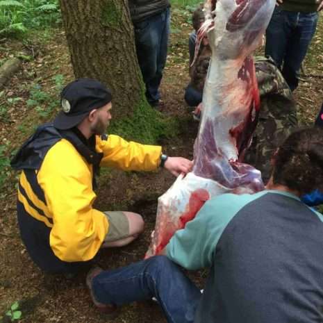 IMG_4247 Bushcraft Stag do