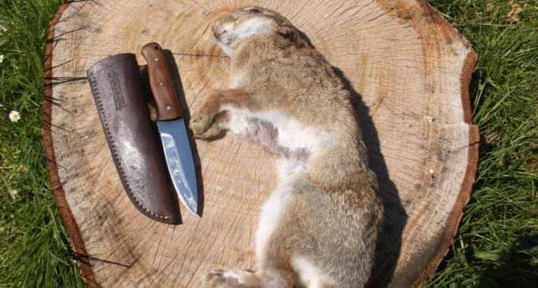 How to skin and butcher a rabbit