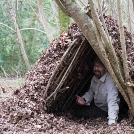 Shelter building with wildway