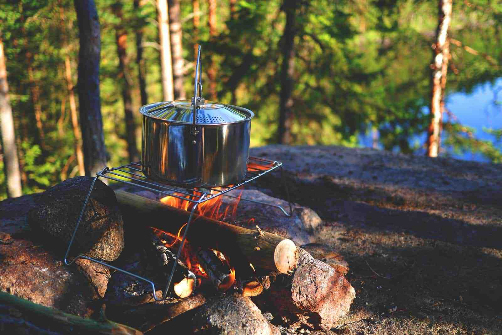 Tips for choosing a bushcraft and survival school