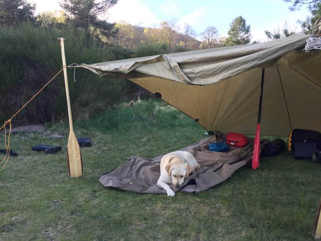 Tarp set ups from Wildway Bushcraft