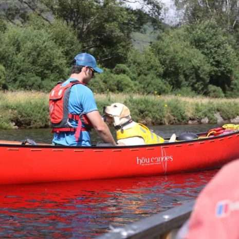IMG_8630 dog Canoeing