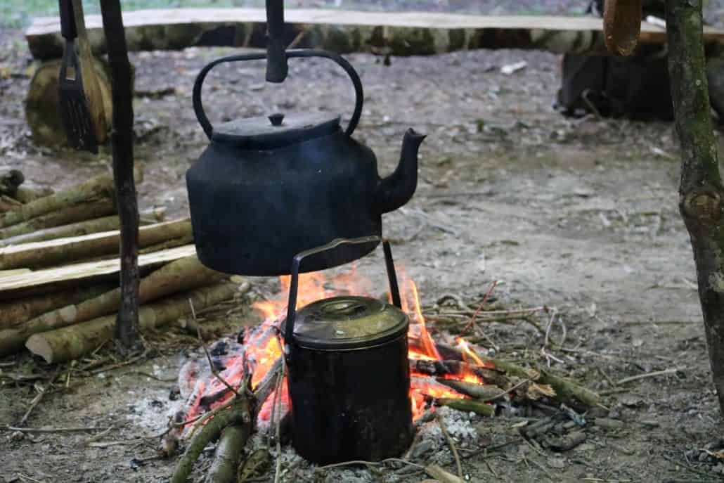 Catching and cooking fish in the wild