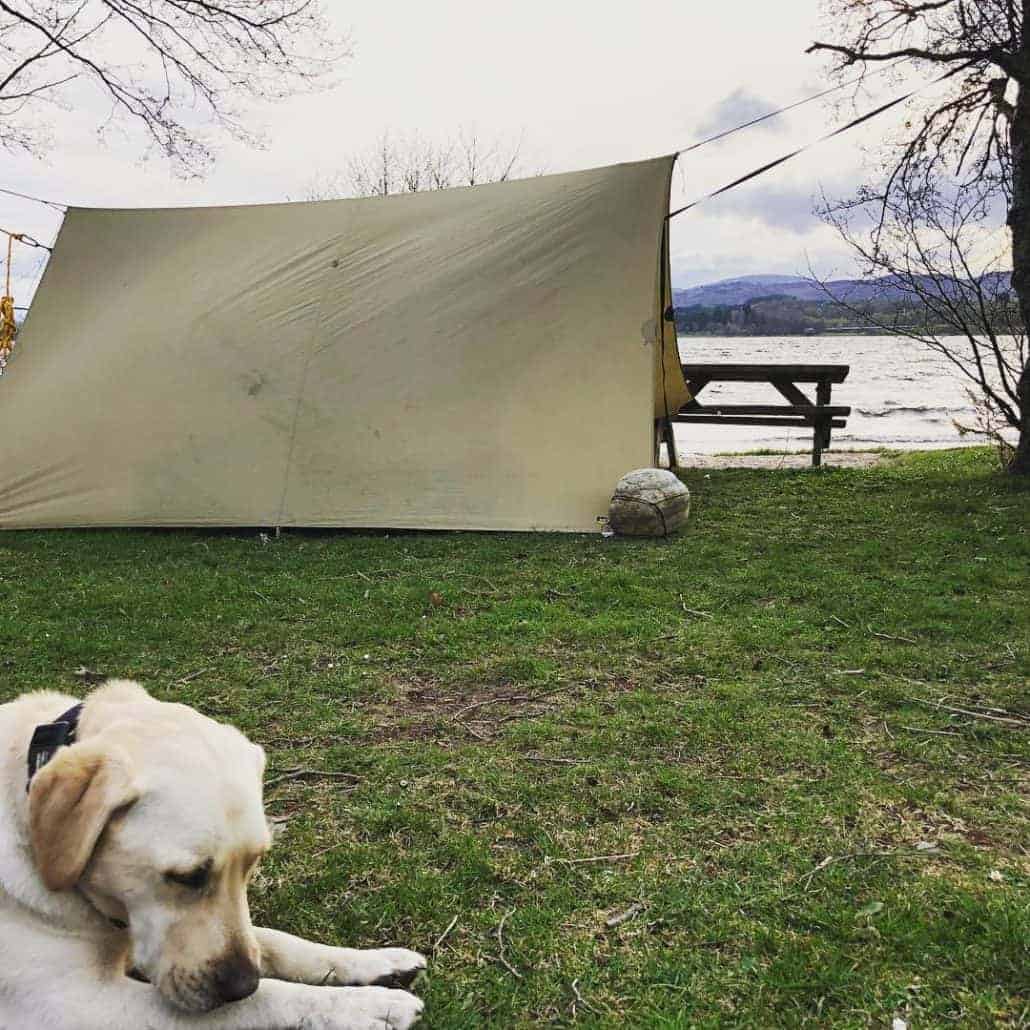 Tarp set ups learn more on our one day bushcraft course