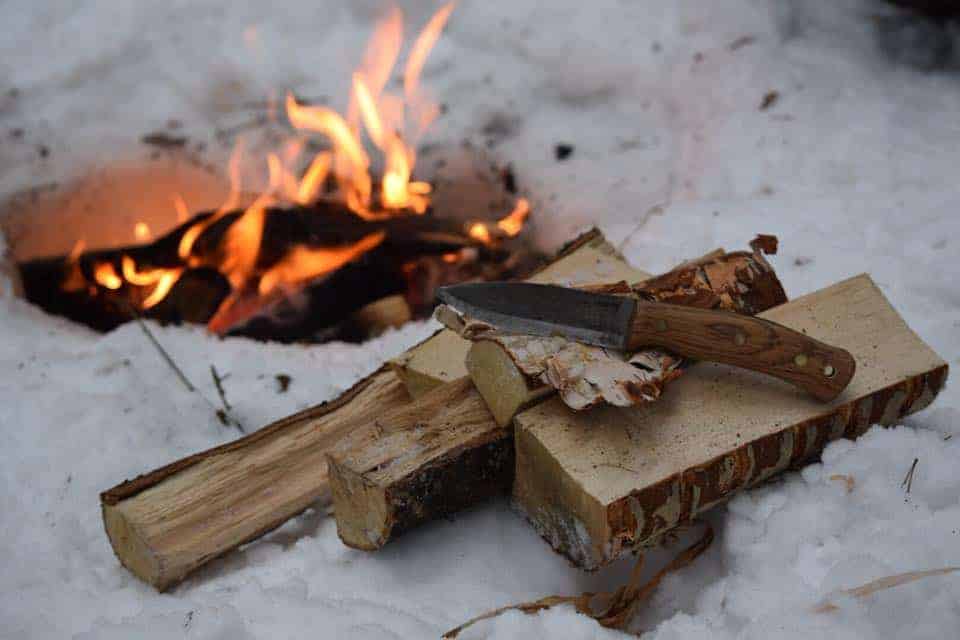 Bushcraft skills and survival