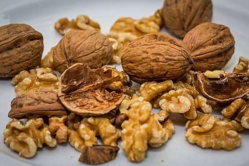 edible autumn nuts