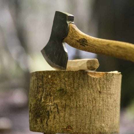 OV3A2321 spoon carving