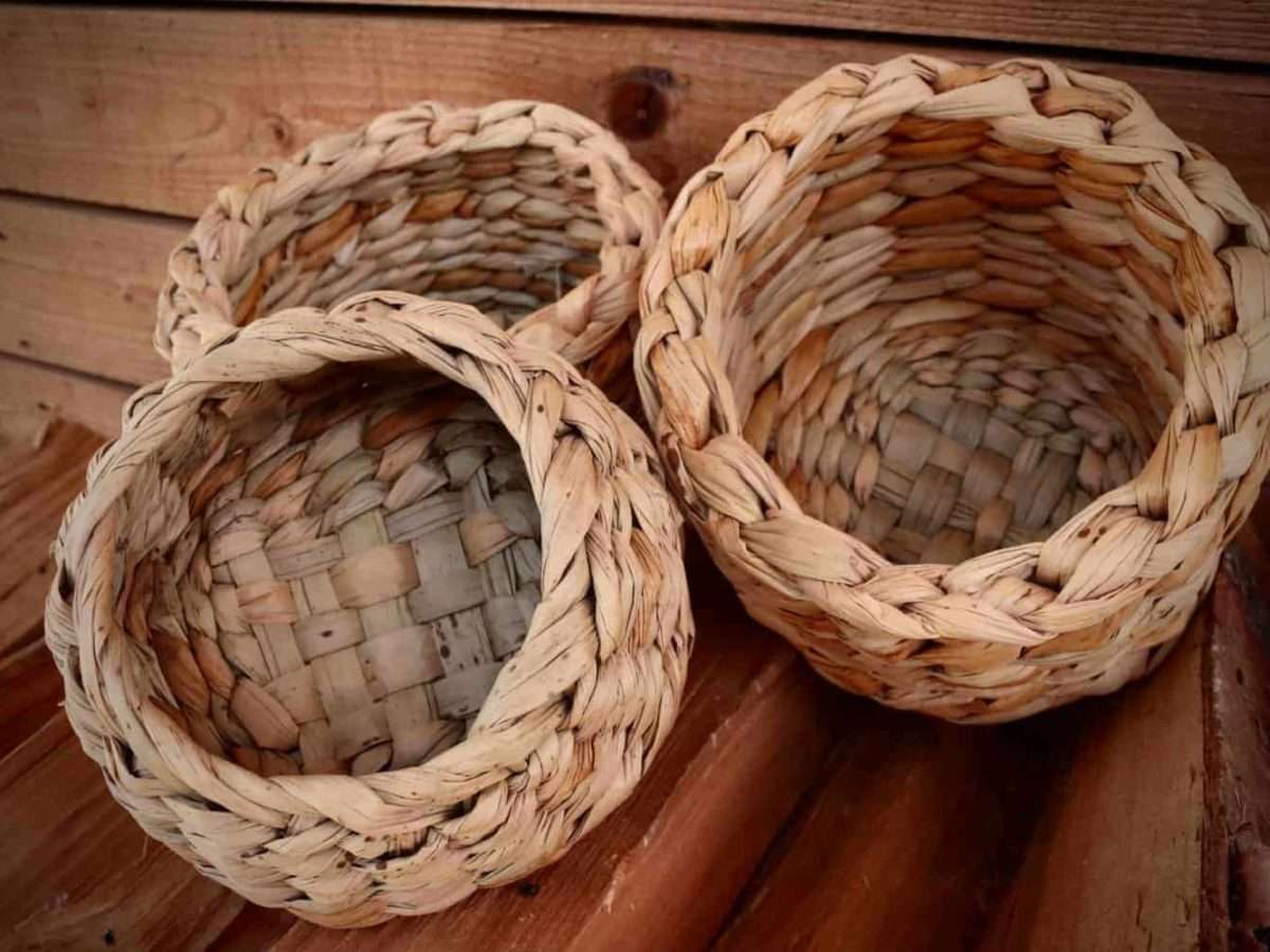 foraging baskets