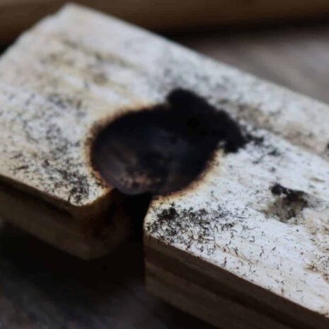 IMG_0835 friction fire