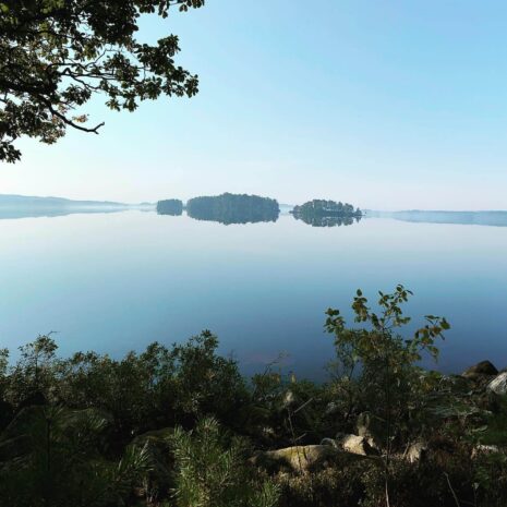 122550988_10157540799090373_1630294925884907110_n 122550988_10157540799090373_1630294925884907110_n