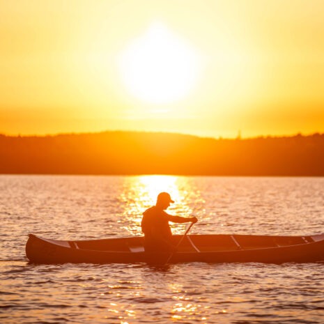 IMG_1709-Förbättrad-NR_2 IMG_1709-Förbättrad-NR_2