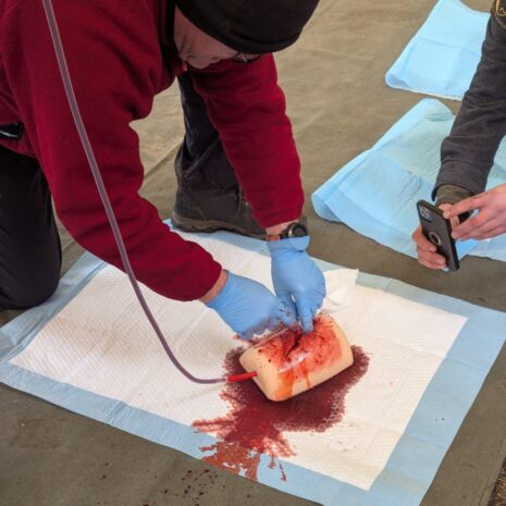 Haemorrhage 2 Haemorrhage 2