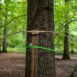 Bow Making Course